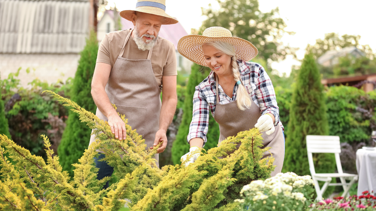 The 7 Best Retirement Hobbies For Seniors Malloway Village 8185